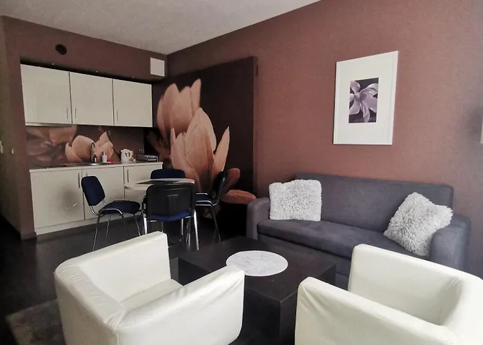 Apartament Prywatny 2-Pokojowy Z Aneksem Kuchennym W Hotelu Diva 아파트 코워브제크